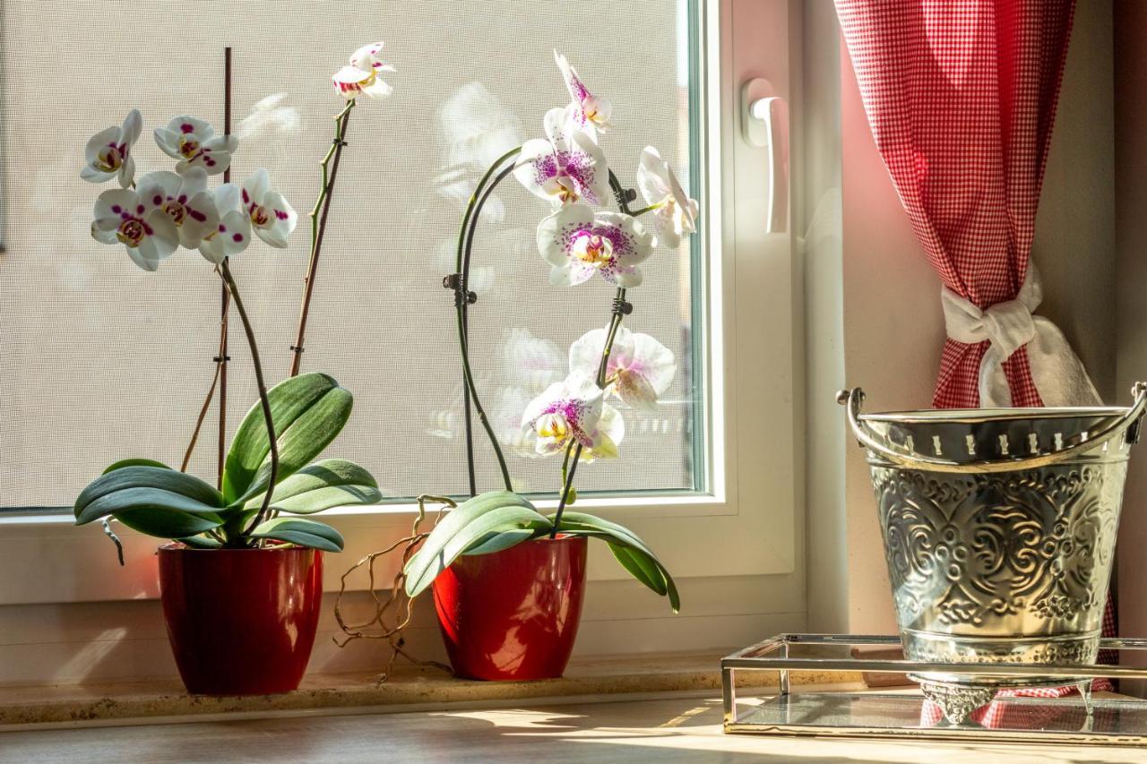 Ferienwohnung Jenzigblick Jena Exteriör bild